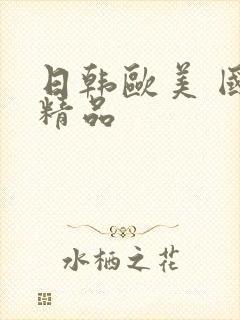 日韩欧美 国产精品