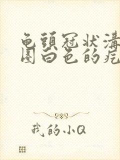 龟头冠状沟有一圈白色的疙瘩封面