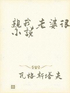 亲我老婆很爽吗小说