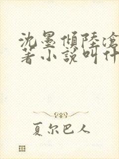 沈墨倾陆沧鸣原著小说叫什么