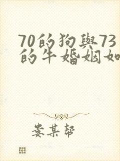 70的狗与73的牛婚姻如何