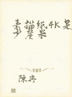 素描纸4k是多少厘米