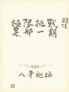 极限挑战翟潇闻是哪一期封面