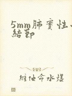 5mm肺实性小结节