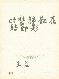 ct双肺散在小结节影