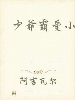 少爷霸爱小丫头封面