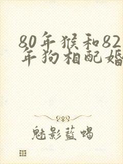80年猴和82年狗相配婚姻如何封面