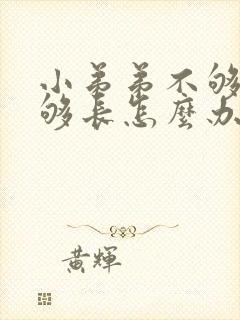 小弟弟不够硬不够长怎么办封面