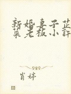 新婚妻子芷珊和菜老板小许小说全集封面