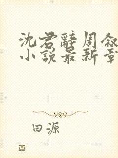 沈君辞周叙林雪小说最新章节免费阅读