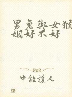 男兔与女猴配婚姻好不好