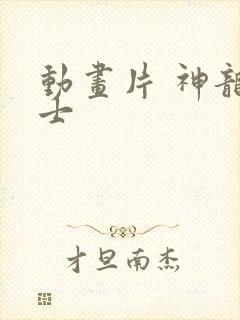 动画片 神龙斗士