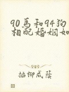 90马和94狗相配婚姻如何