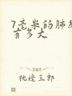 7毫米的肺结节有多大