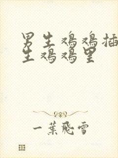 男生鸡鸡插在女生鸡鸡里