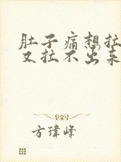 肚子痛想拉大便又拉不出来是什么原因