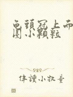 龟头冠上面有一圈小颗粒