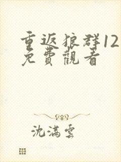 重返狼群12集免费观看