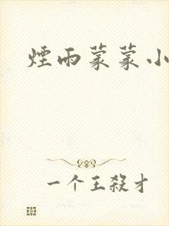 烟雨蒙蒙小说封面