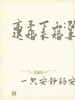 高手下山:开局退婚未婚妻小说txt
