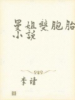 曼姐双胞胎儿子小说