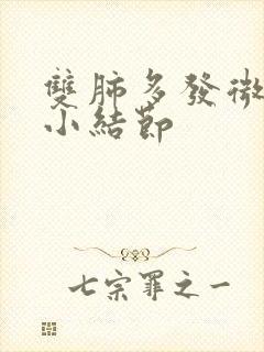 双肺多发微小及小结节