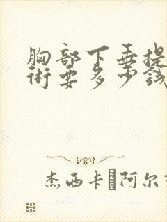 胸部下垂提升手术要多少钱费用