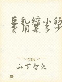 巨乳缩小的手术费用是多少