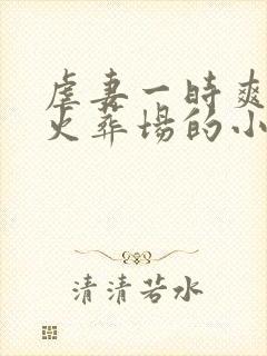 虐妻一时爽追妻火葬场的小说封面