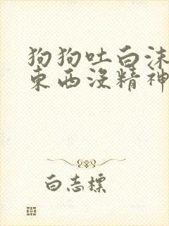 狗狗吐白沫不吃东西没精神怎么办