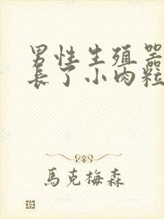 男性生殖器上面长了小肉粒怎么回事