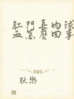 肛门长肉球还出血怎么回事