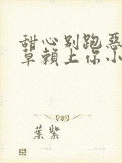 甜心别跑恶魔校草赖上你小说封面