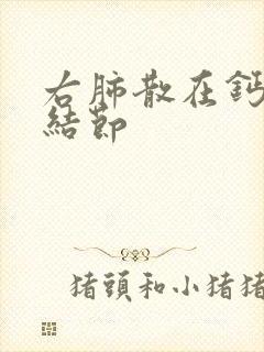 右肺散在钙化小结节