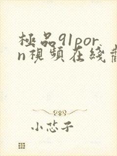 极品91porn视频在线观看