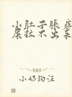 小肚子胀疼想拉屎拉不出来怎么回事