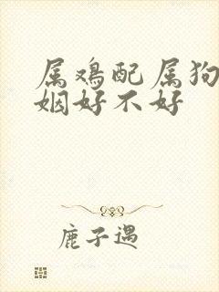 属鸡配属狗的婚姻好不好