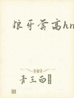 狼牙套高hnp封面