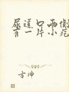 尿道口两侧旁边有一片小疙瘩封面