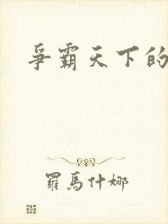 争霸天下的小说封面