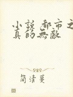 小说 都市之我真的无敌