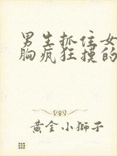 男生抓住女生的胸疯狂摸的视频