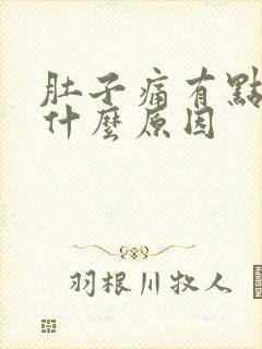 肚子痛有点想吐什么原因