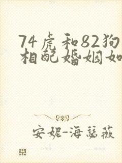 74虎和82狗相配婚姻如何