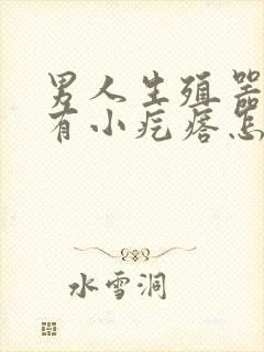 男人生殖器上长有小疙瘩怎么回事