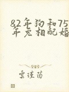 82年狗和75年兔相配婚姻如何
