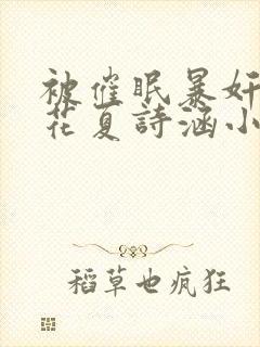 被催眠暴奸的校花夏诗涵小说封面