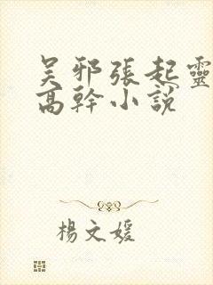 吴邪张起灵cp高干小说