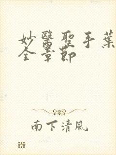 妙医圣手叶皓轩全章节