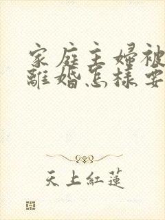 家庭主妇被家暴离婚怎样要孩子抚养权